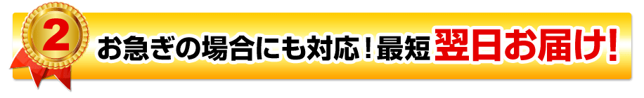 お急ぎの場合にも対応！最短翌日お届け！