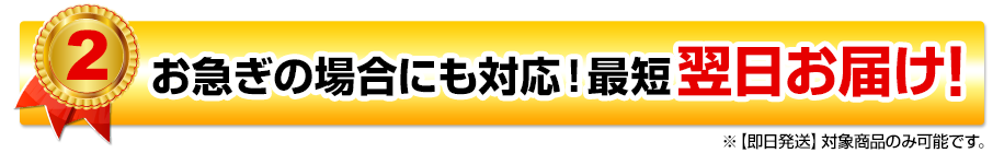 お急ぎの場合にも対応！最短翌日お届け！