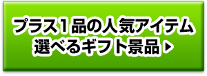 プラス１品の人気アイテム 選べるギフト景品